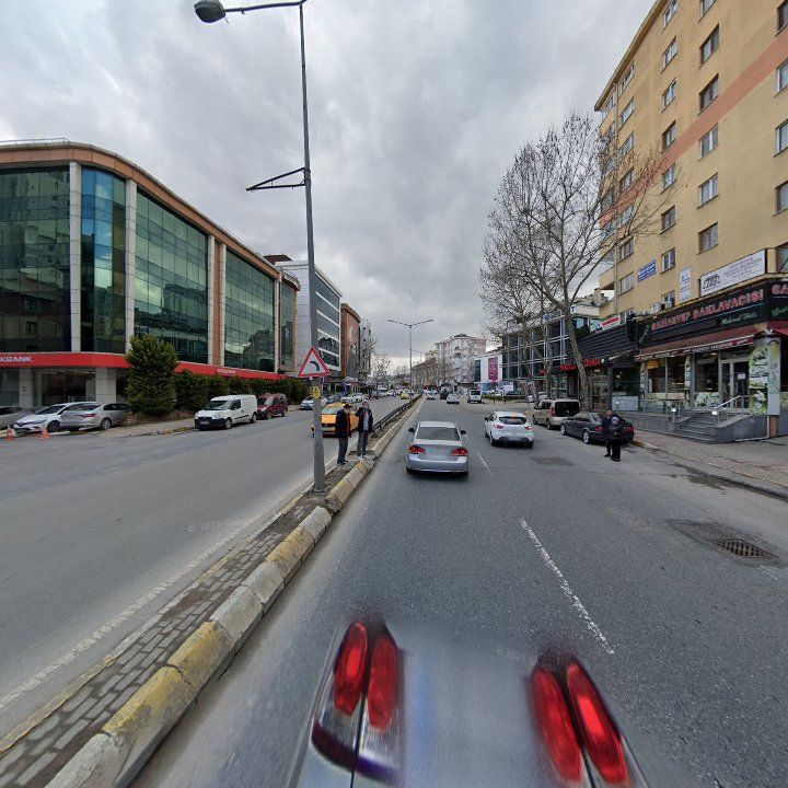 Fotoğraf 11