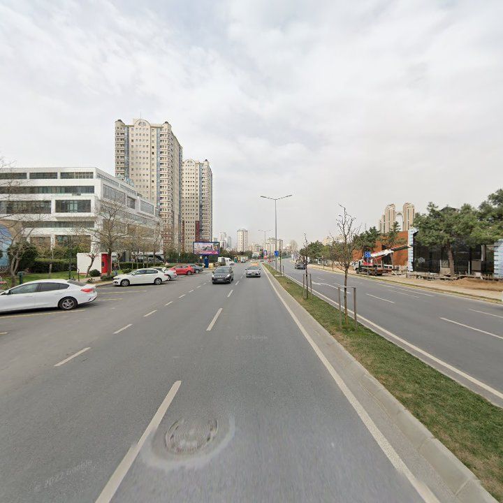 Fotoğraf 12
