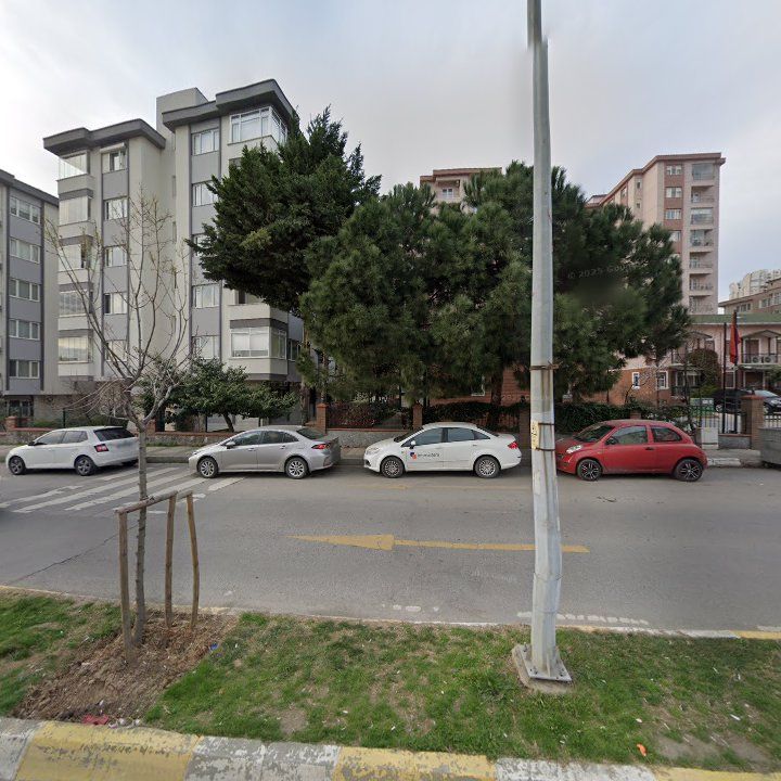 Fotoğraf 12