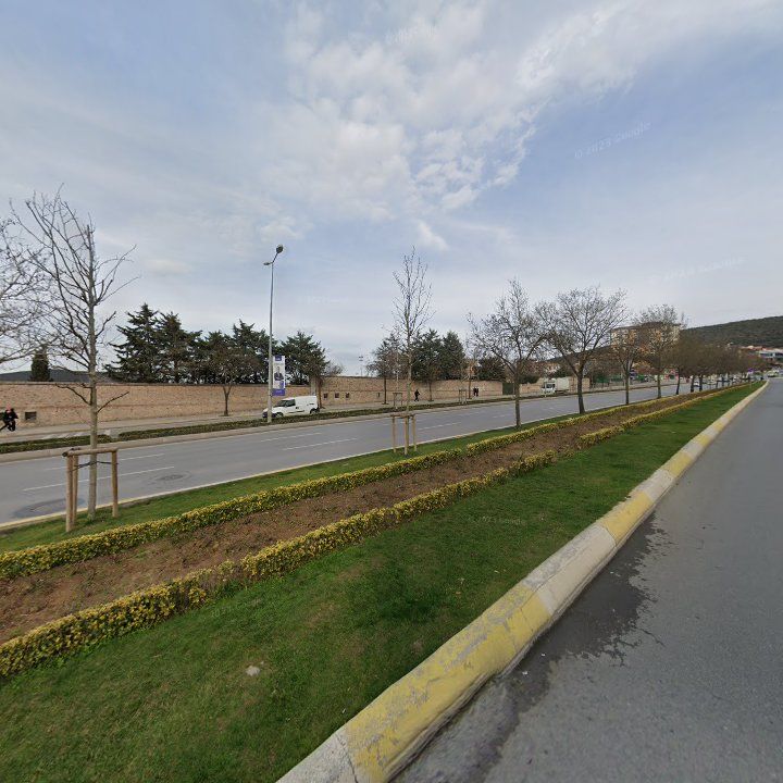 Fotoğraf 9