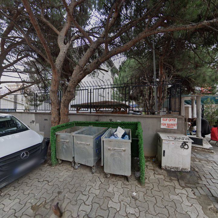 Fotoğraf 12