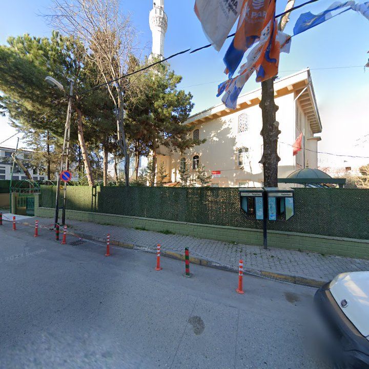Fotoğraf 9
