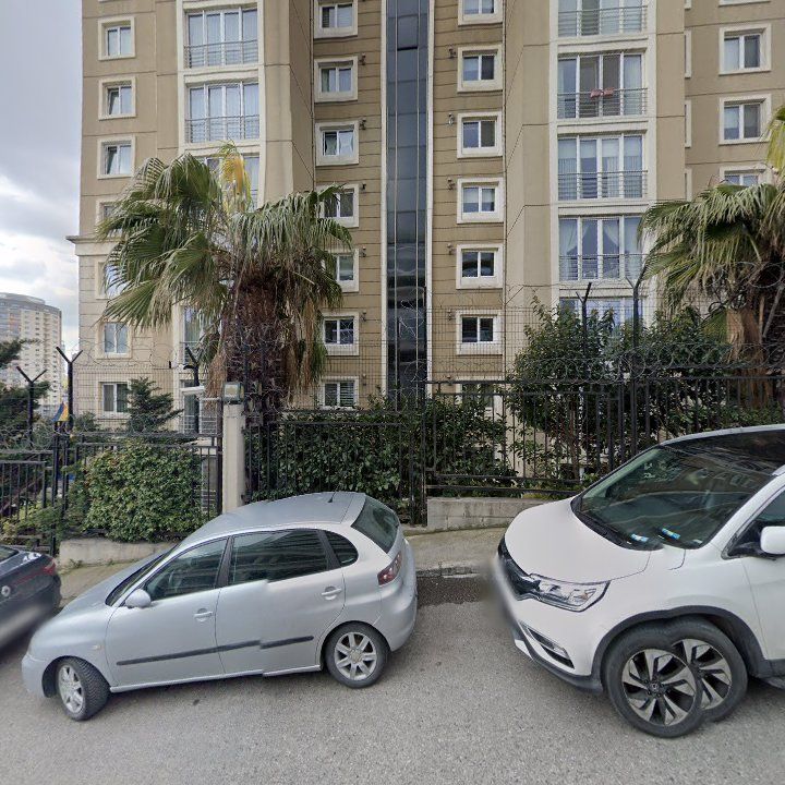 Fotoğraf 11