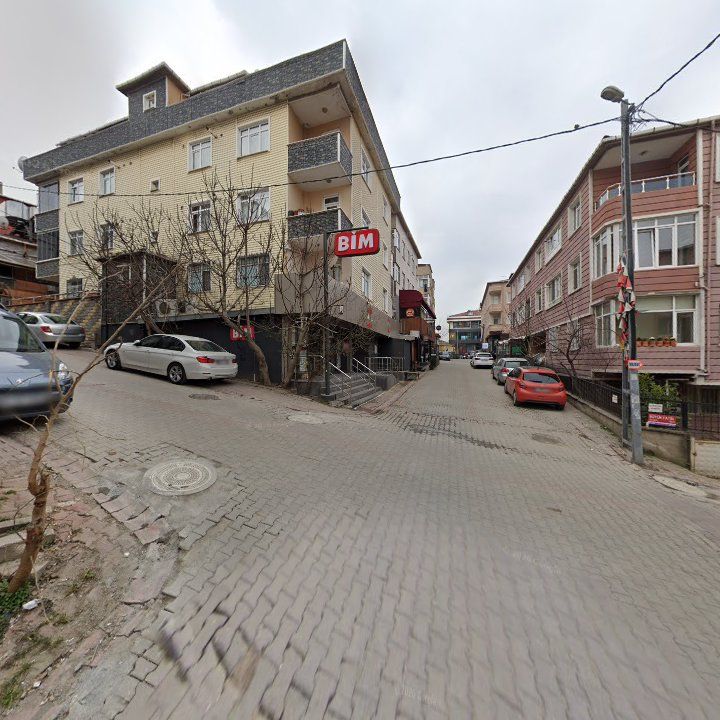 Fotoğraf 11