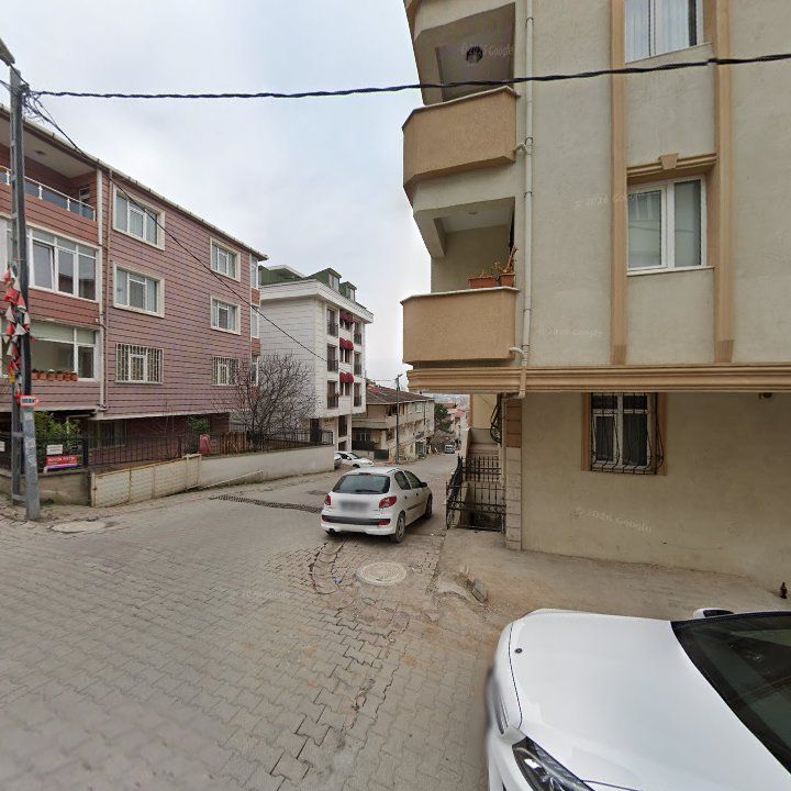 Fotoğraf 12