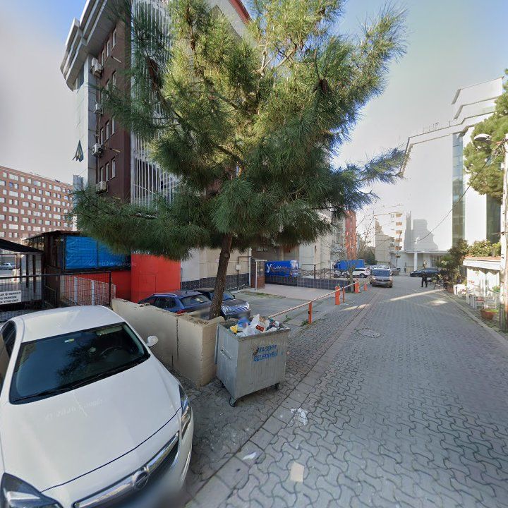 Fotoğraf 12