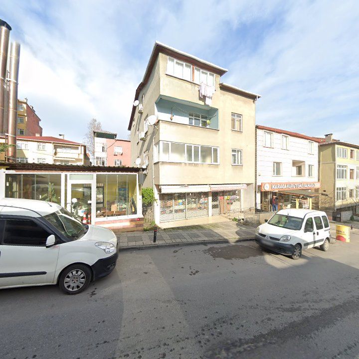 Fotoğraf 12