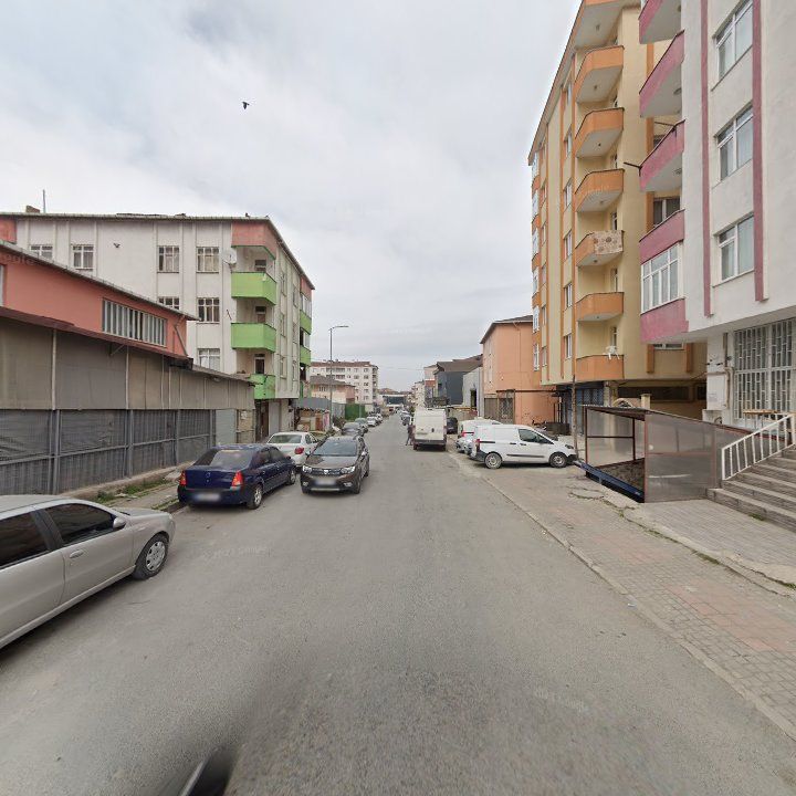 Fotoğraf 8