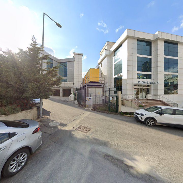 Fotoğraf 16