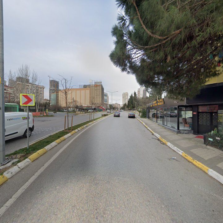Fotoğraf 12