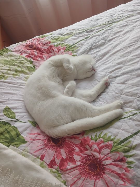 Güney Ekmek Fabr.