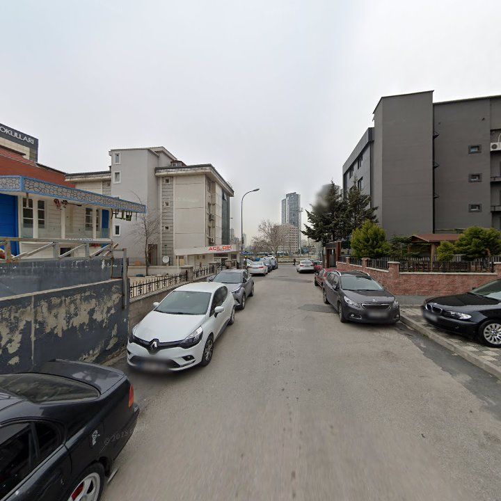 Fotoğraf 10