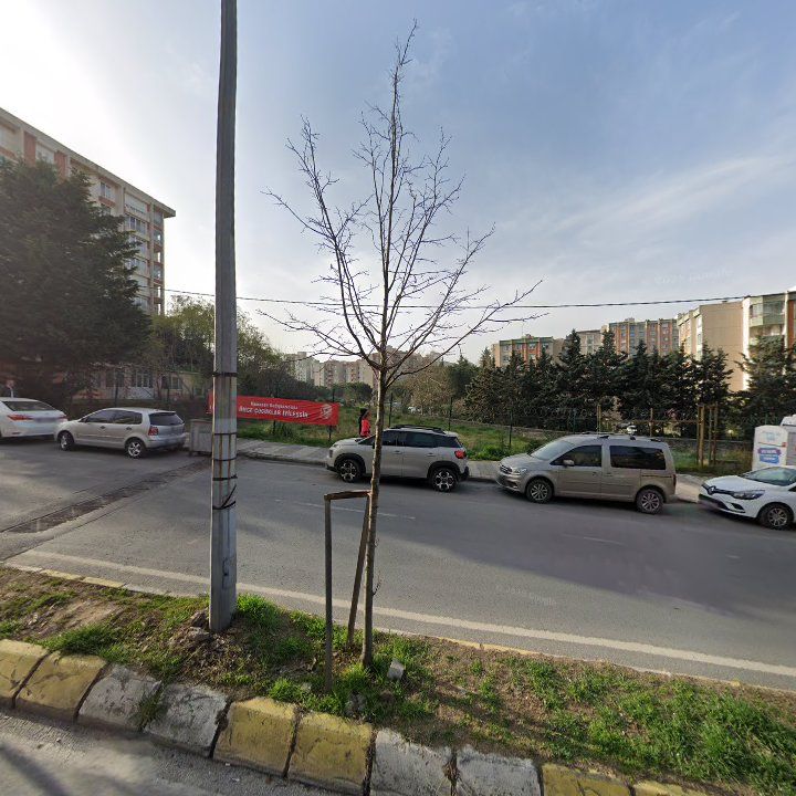 Fotoğraf 13