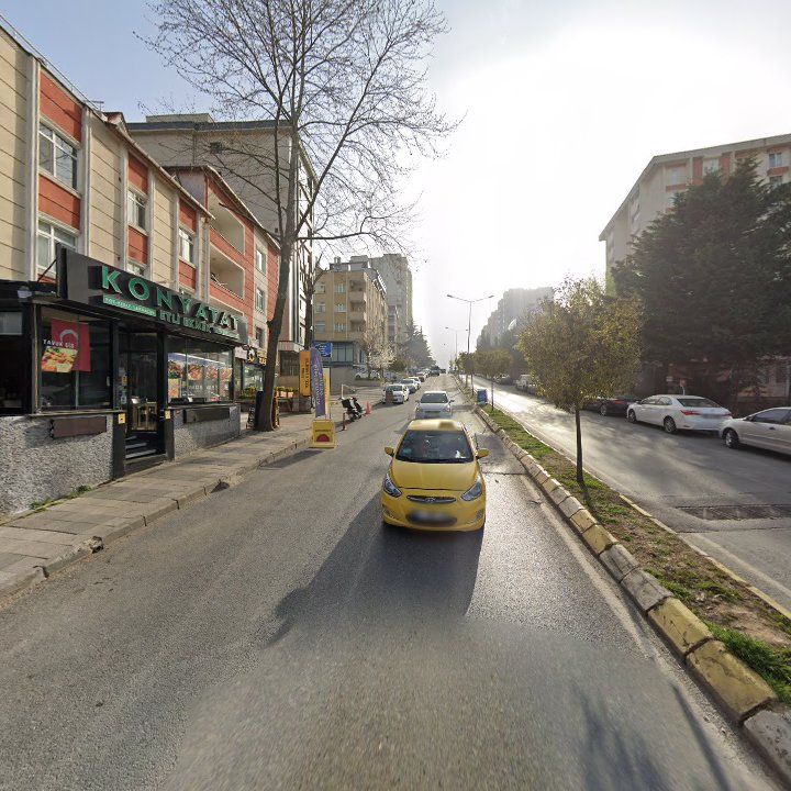 Fotoğraf 12