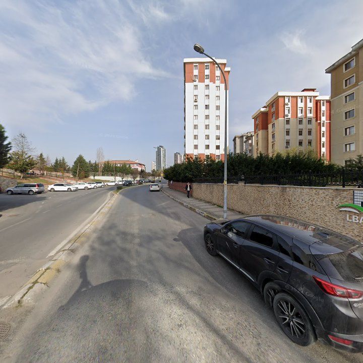 Fotoğraf 10