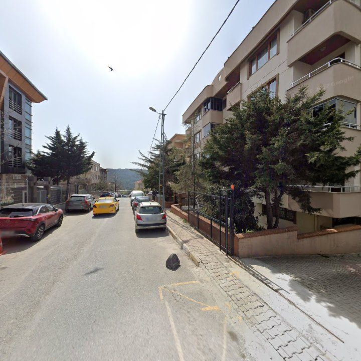 Fotoğraf 10