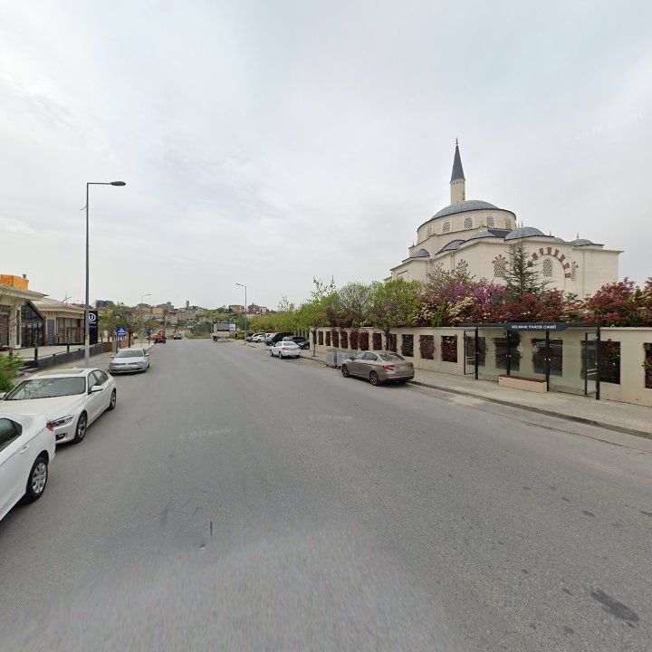 Fotoğraf 9