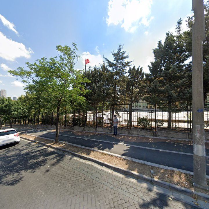 Fotoğraf 10