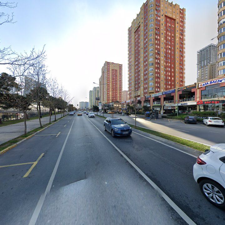 Fotoğraf 11