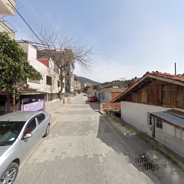 Fotoğraf 6