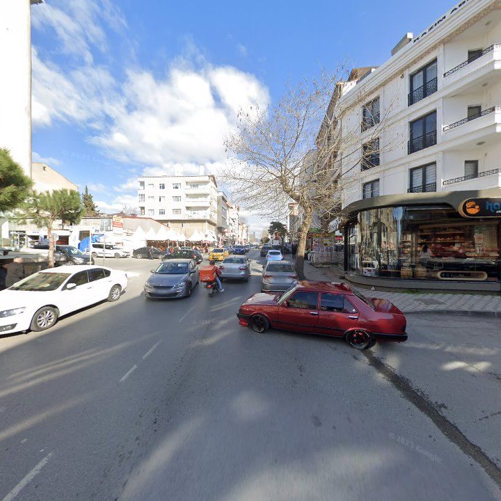 Fotoğraf 10