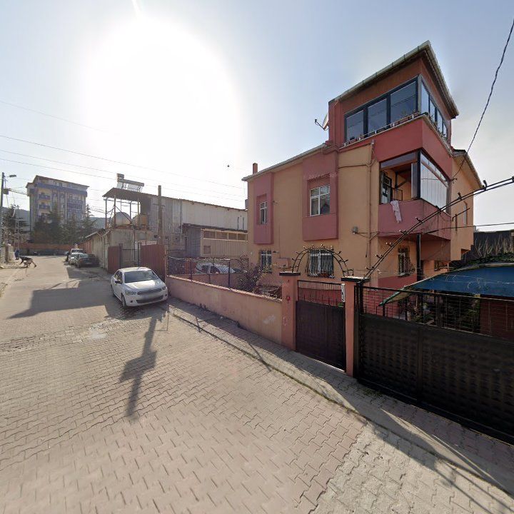 Fotoğraf 17
