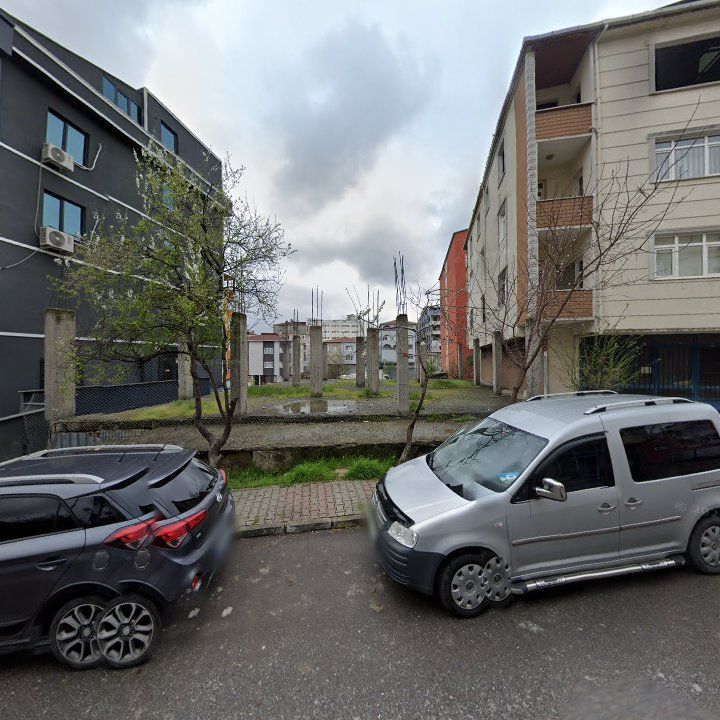 Fotoğraf 6