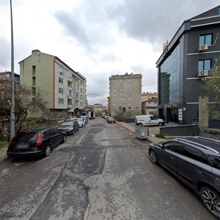 Fotoğraf 9