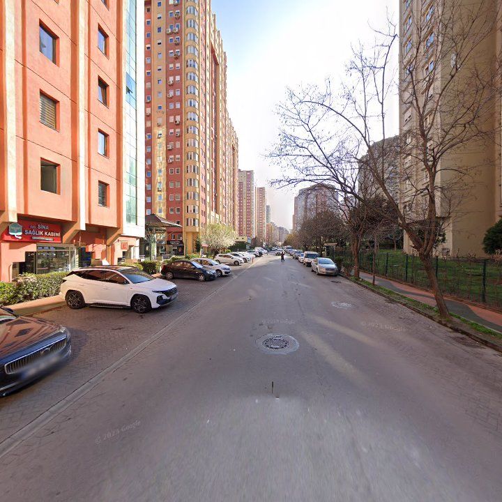 Fotoğraf 11