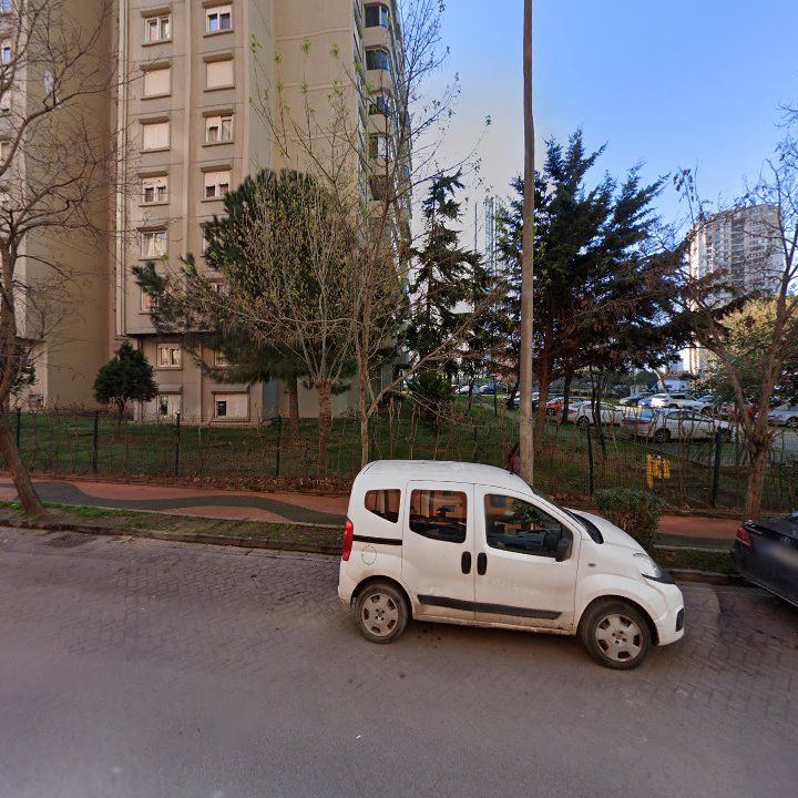 Fotoğraf 12