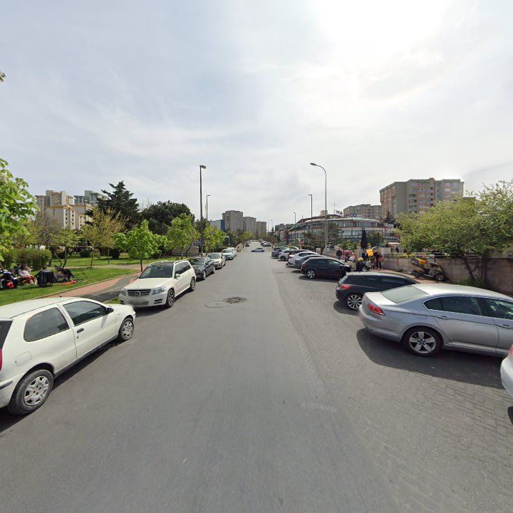 Fotoğraf 11