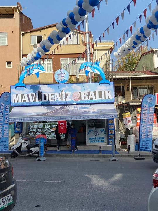 Mavi Deniz Balık