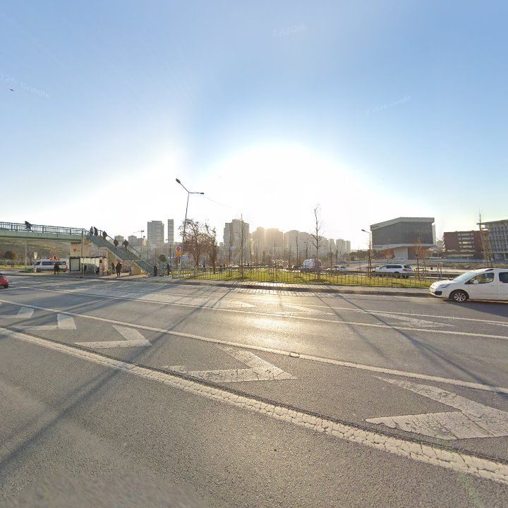 Fotoğraf 8