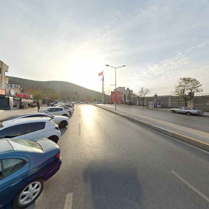 Fotoğraf 9