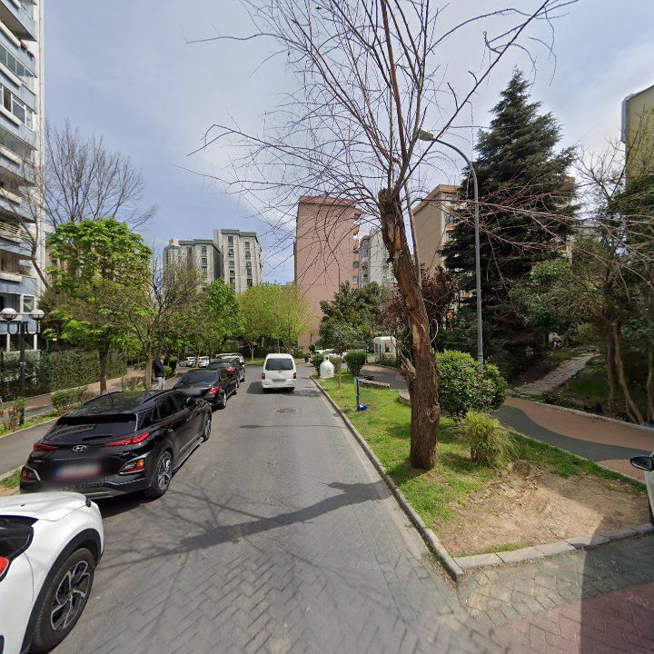 Fotoğraf 20