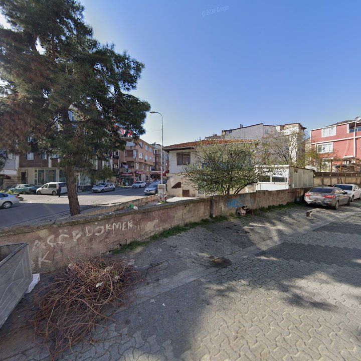 Fotoğraf 9
