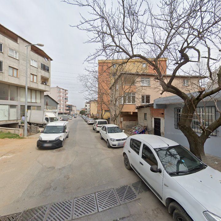 Fotoğraf 6