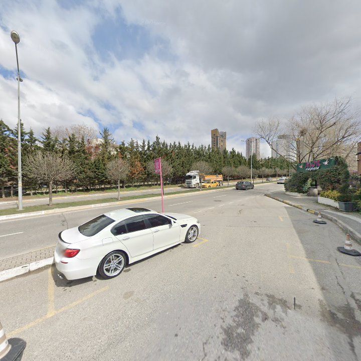 Fotoğraf 11
