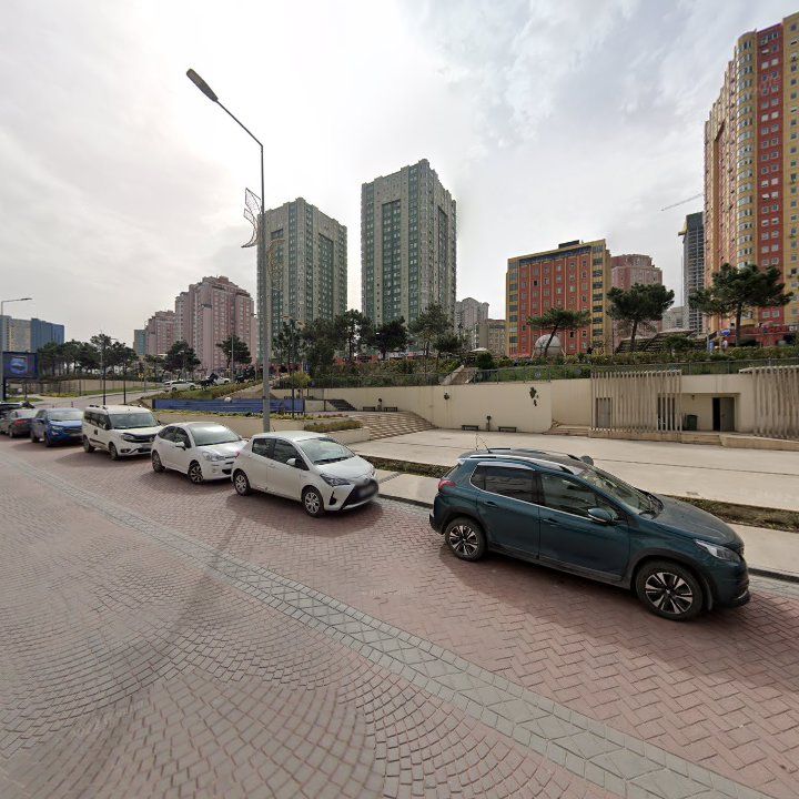 Fotoğraf 10