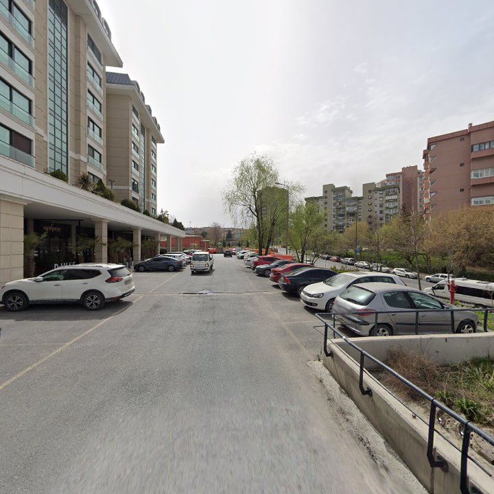 Fotoğraf 11