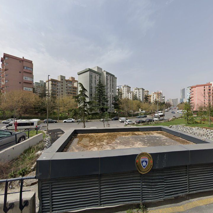Fotoğraf 12