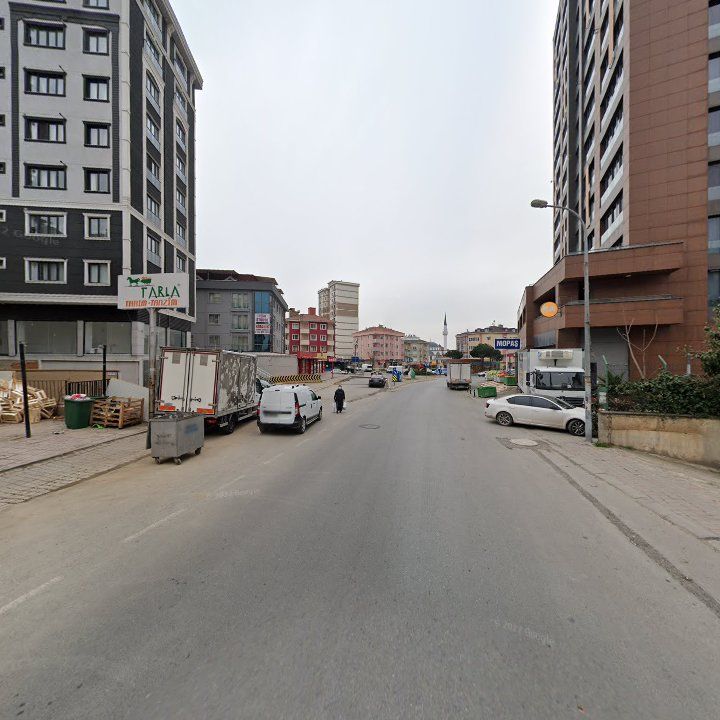 Fotoğraf 7