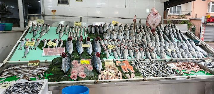 Nokta balık