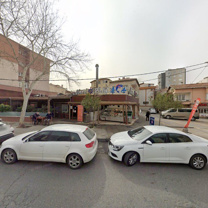Fotoğraf 14