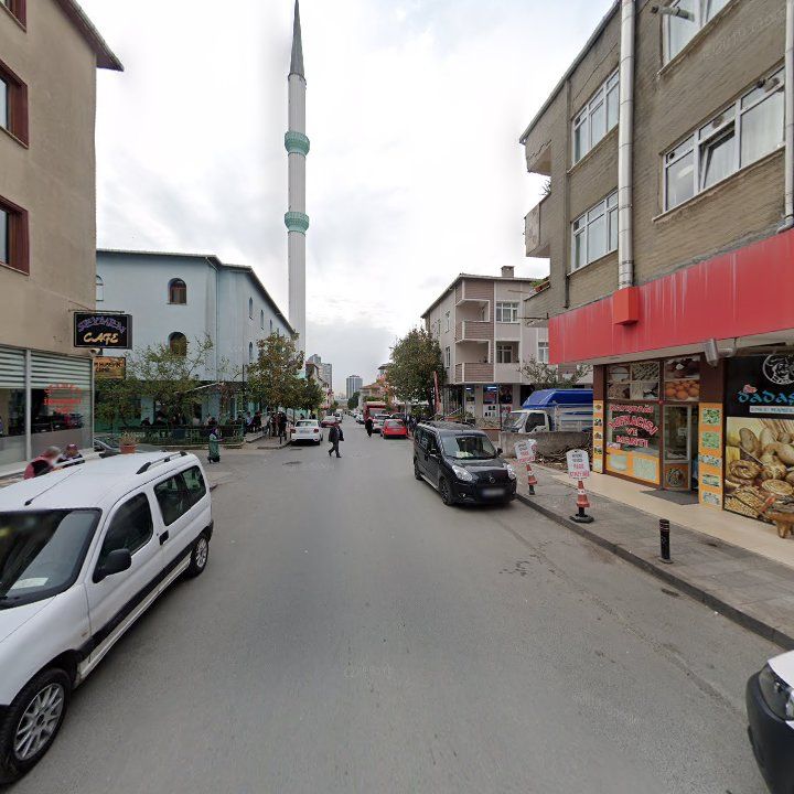 Fotoğraf 11