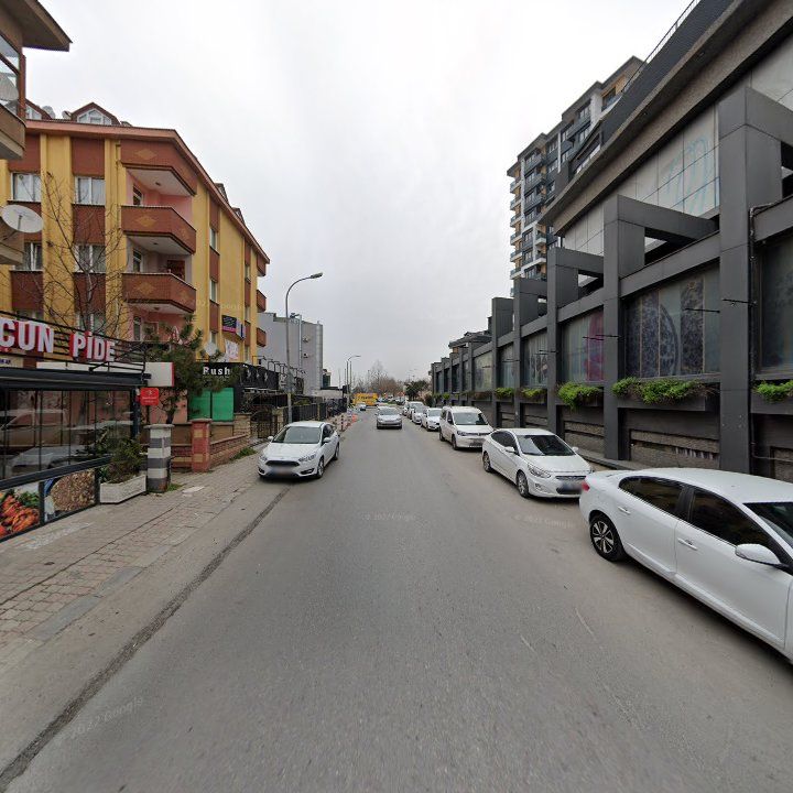 Fotoğraf 13