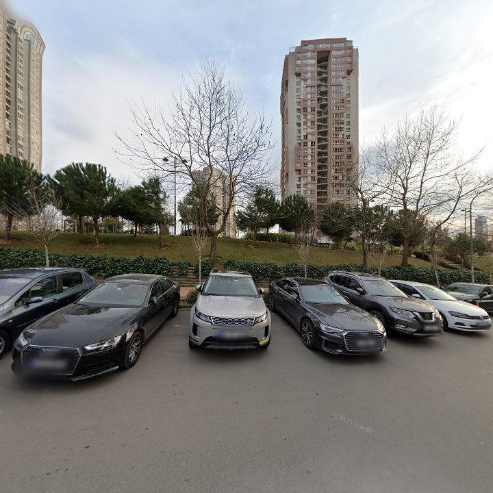 Fotoğraf 15