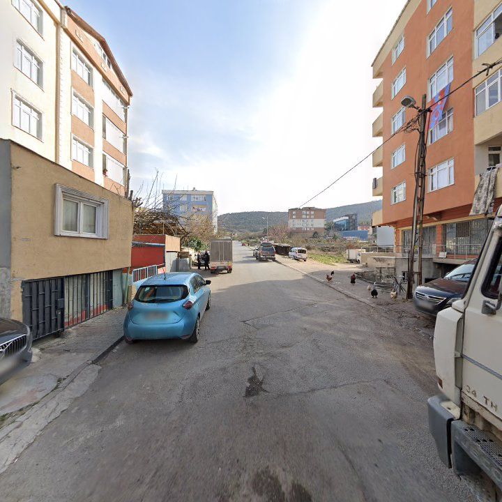 Fotoğraf 10