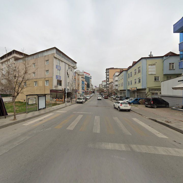 Fotoğraf 10