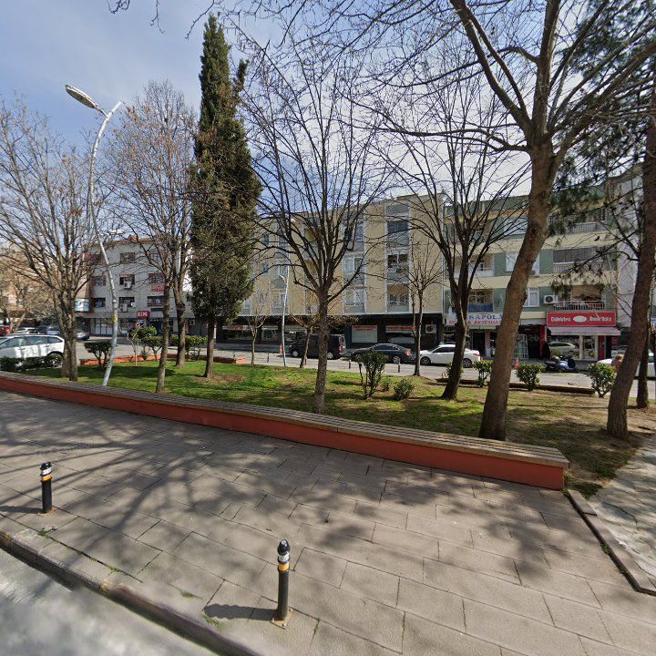 Fotoğraf 7